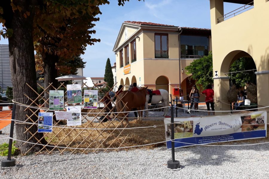 (Italiano) PET THERAPY IN FORTEZZA DA BASSO Settembre 2018