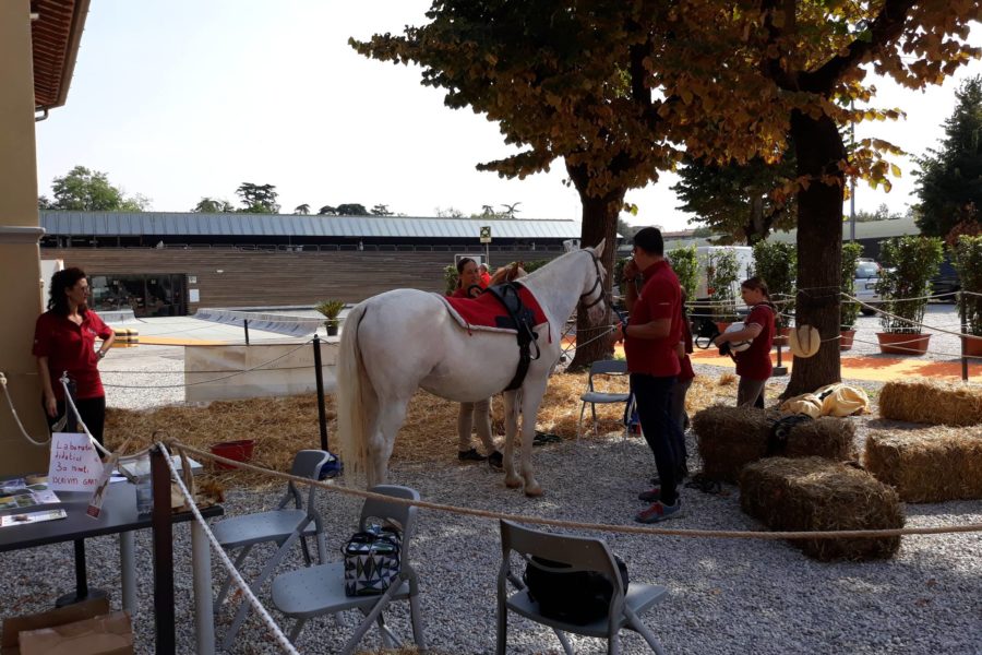 (Italiano) PET THERAPY IN FORTEZZA DA BASSO Settembre 2018