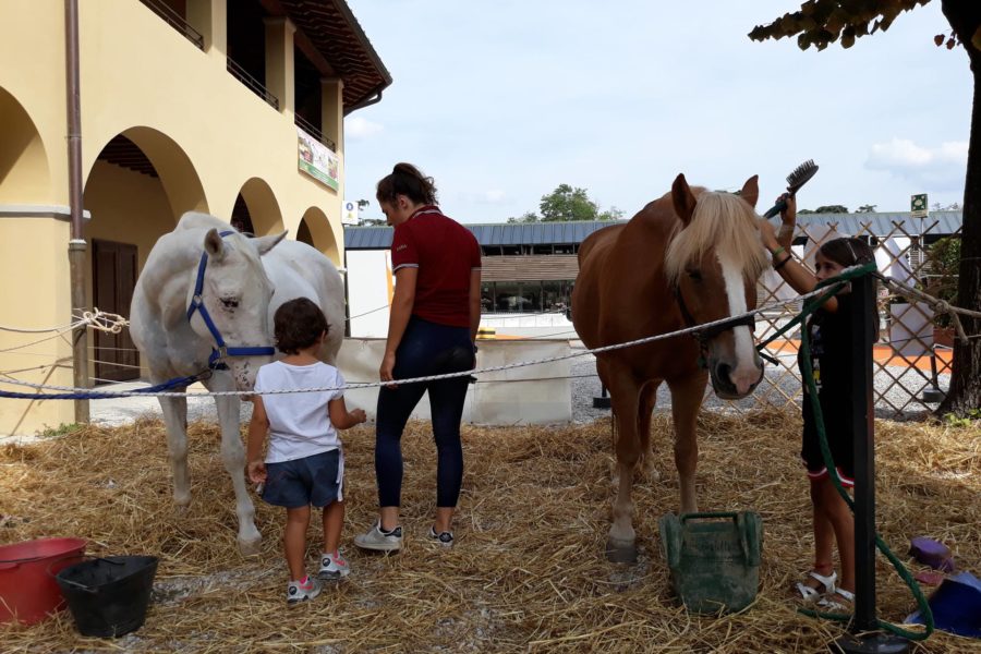 (Italiano) PET THERAPY IN FORTEZZA DA BASSO Settembre 2018