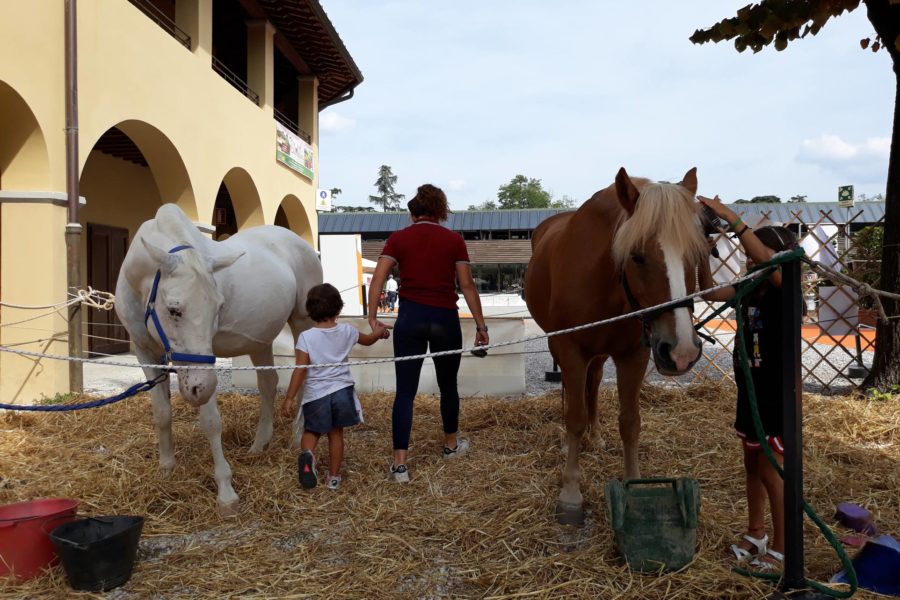 (Italiano) PET THERAPY IN FORTEZZA DA BASSO Settembre 2018