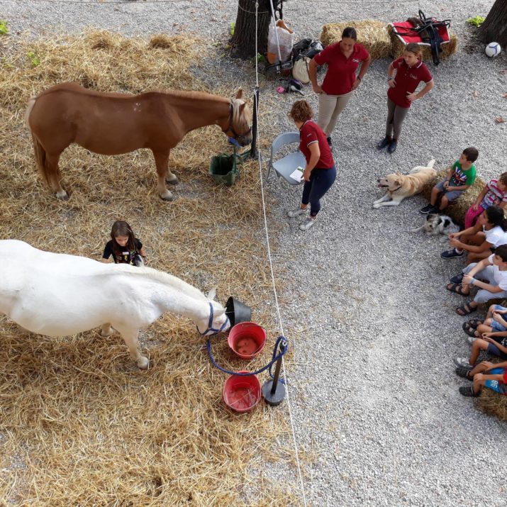 (Italiano) PET THERAPY IN FORTEZZA DA BASSO Settembre 2018