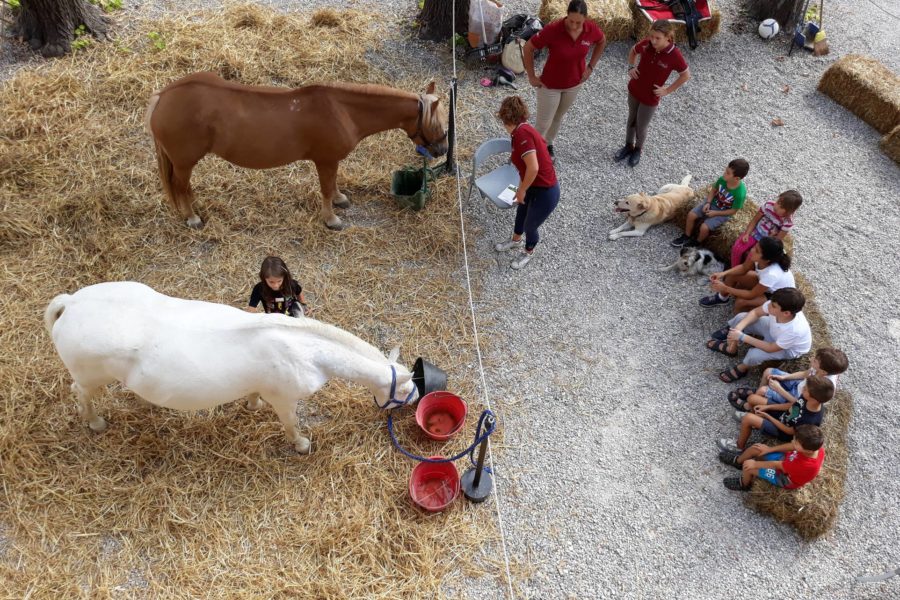 (Italiano) PET THERAPY IN FORTEZZA DA BASSO Settembre 2018