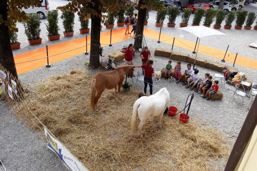 (Italiano) PET THERAPY IN FORTEZZA DA BASSO Settembre 2018