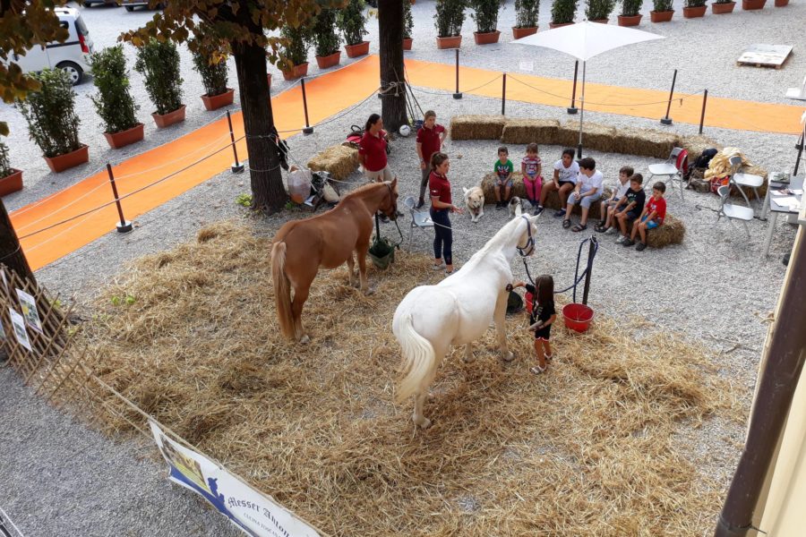 PET THERAPY IN FORTEZZA DA BASSO Settembre 2018