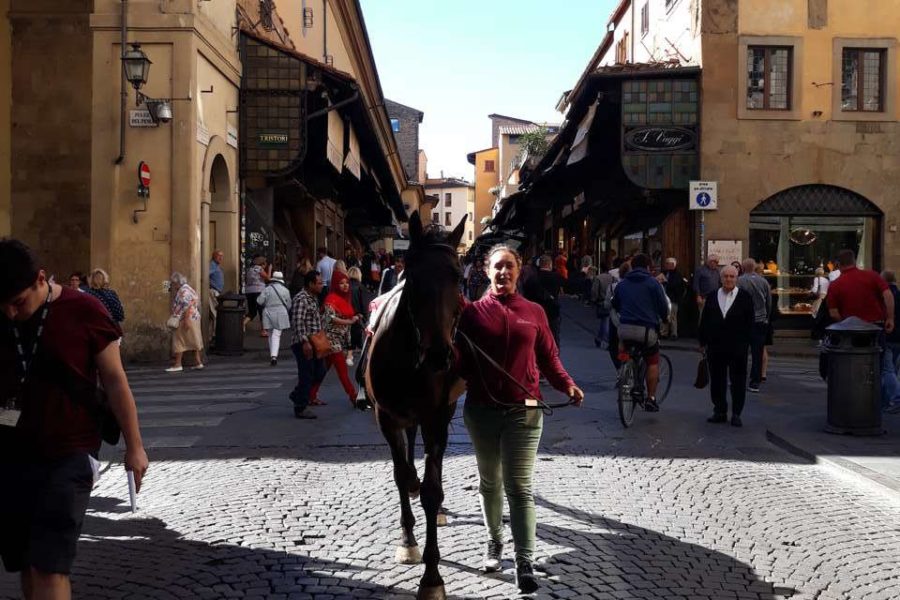 (Italiano) La BBC a Firenze per un documentario sui Medici con uno dei nostri cavalli!