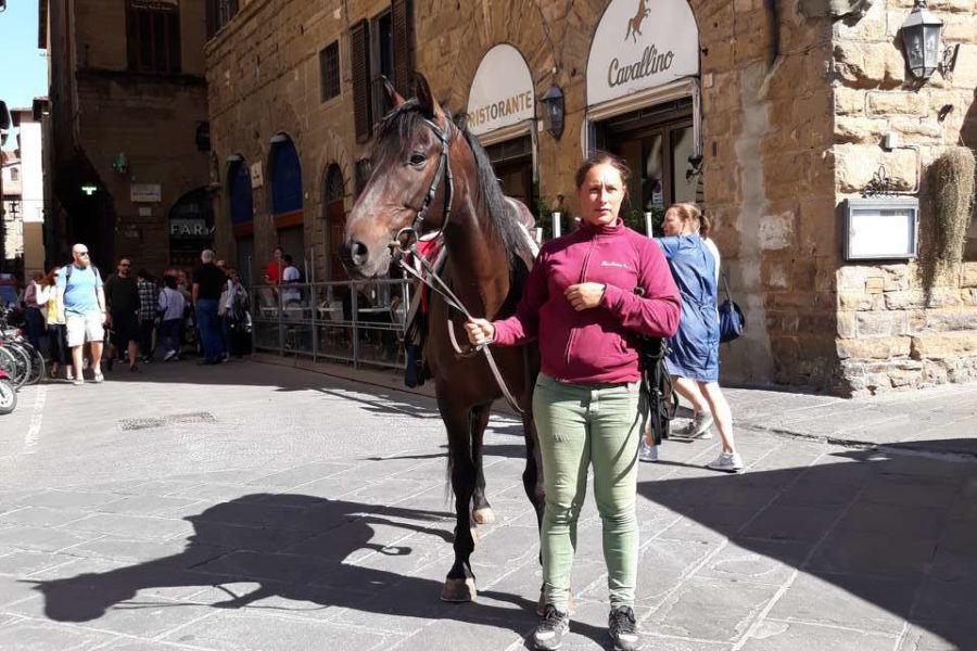 La BBC a Firenze per un documentario sui Medici con uno dei nostri cavalli!