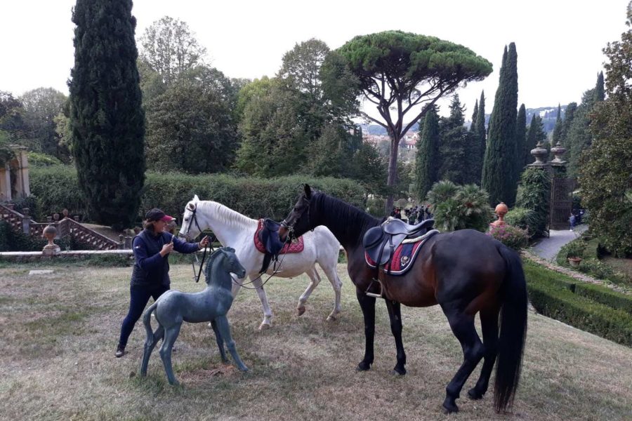 Un troupe cinese in Toscana per girare un film, con la partecipazione dei nostri cavalli!