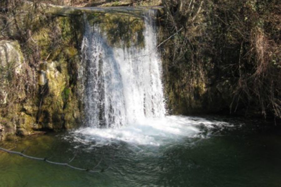 Area Naturale Protetta del Torrente Terzolle