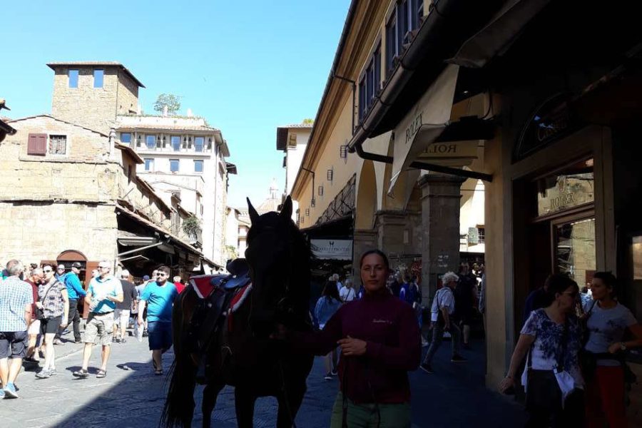 La BBC a Firenze per un documentario sui Medici con uno dei nostri cavalli!